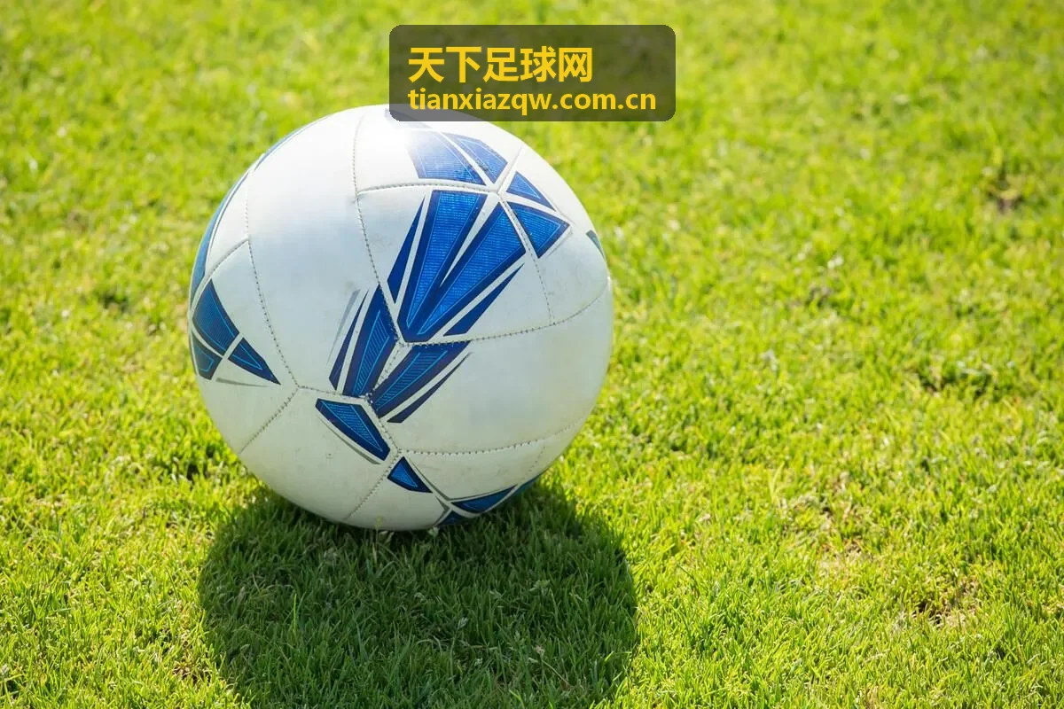 天下足球网专题回顾：球员数据表现图